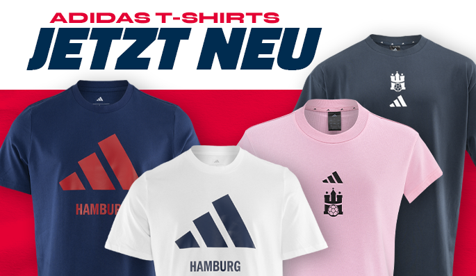 691ed6e7f64f2a89bc071a12